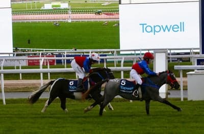 Inlägg 22 av Monté med titeln Ponnygalopp