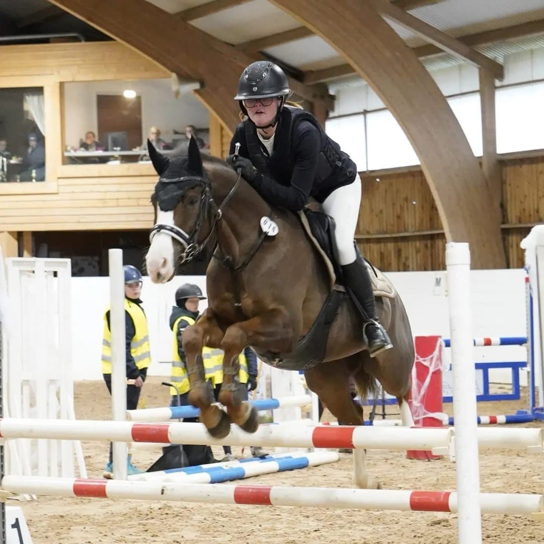 Bild 1 av Fredriksdals myztic