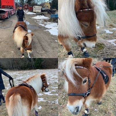 Inlägg 9 av Allround med titeln Åsså är jag gullig!!