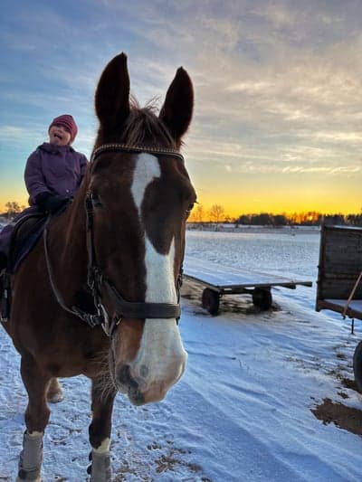 Inlägg 101 av Allround