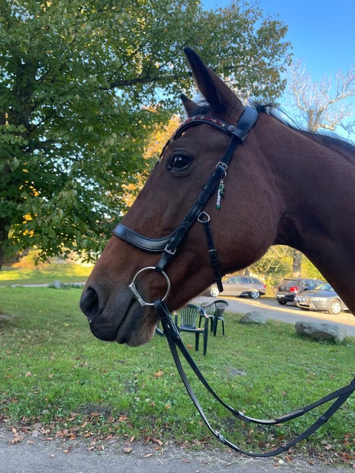 Media 4 av Portemonnaie (Penny)