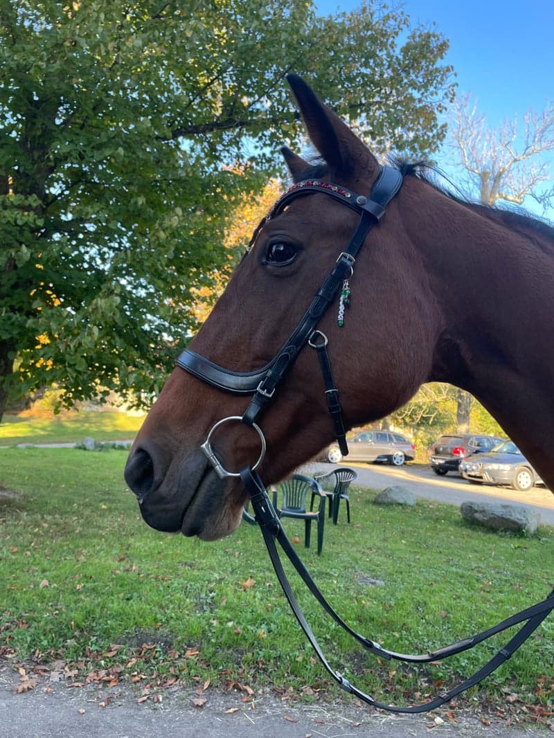 Bild 4 av Portemonnaie (Penny)