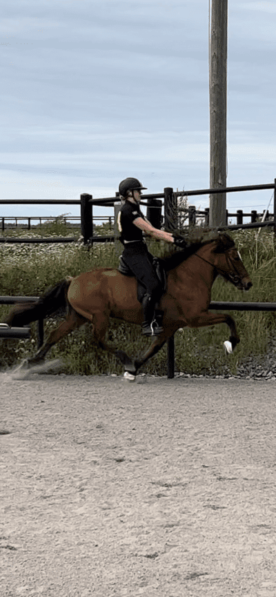 Inlägg 31 av Island