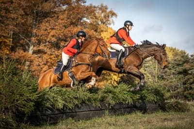 Inlägg 25 av Allround med titeln Hubertusjakt 