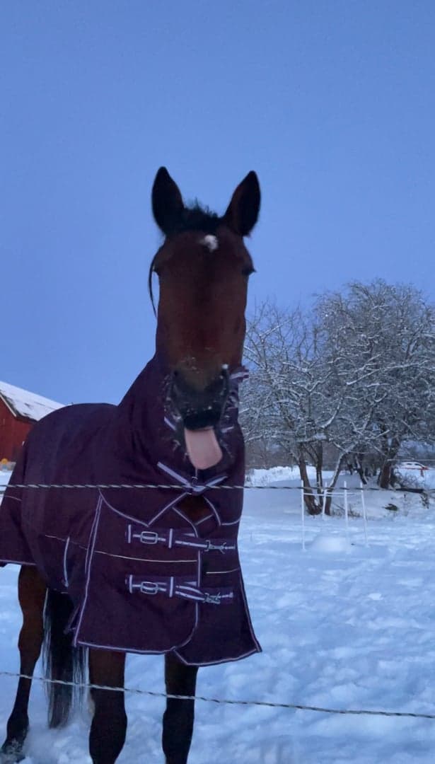 Media 5 av Portemonnaie (Penny)