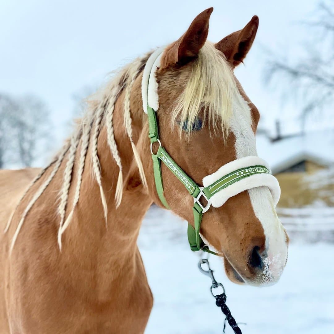 Bild 1 av Cair Paravel N