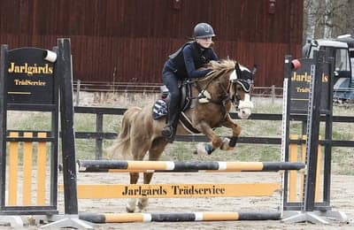 Hopptävling 