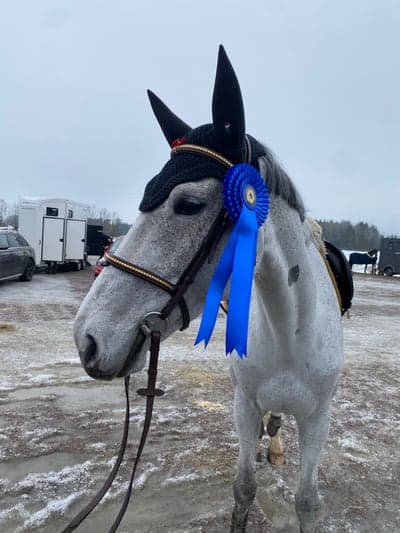 Inlägg 129 av Allround med titeln Tävling i Högbo 