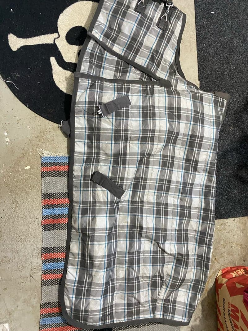 Image 2 of Grått stalltäcke