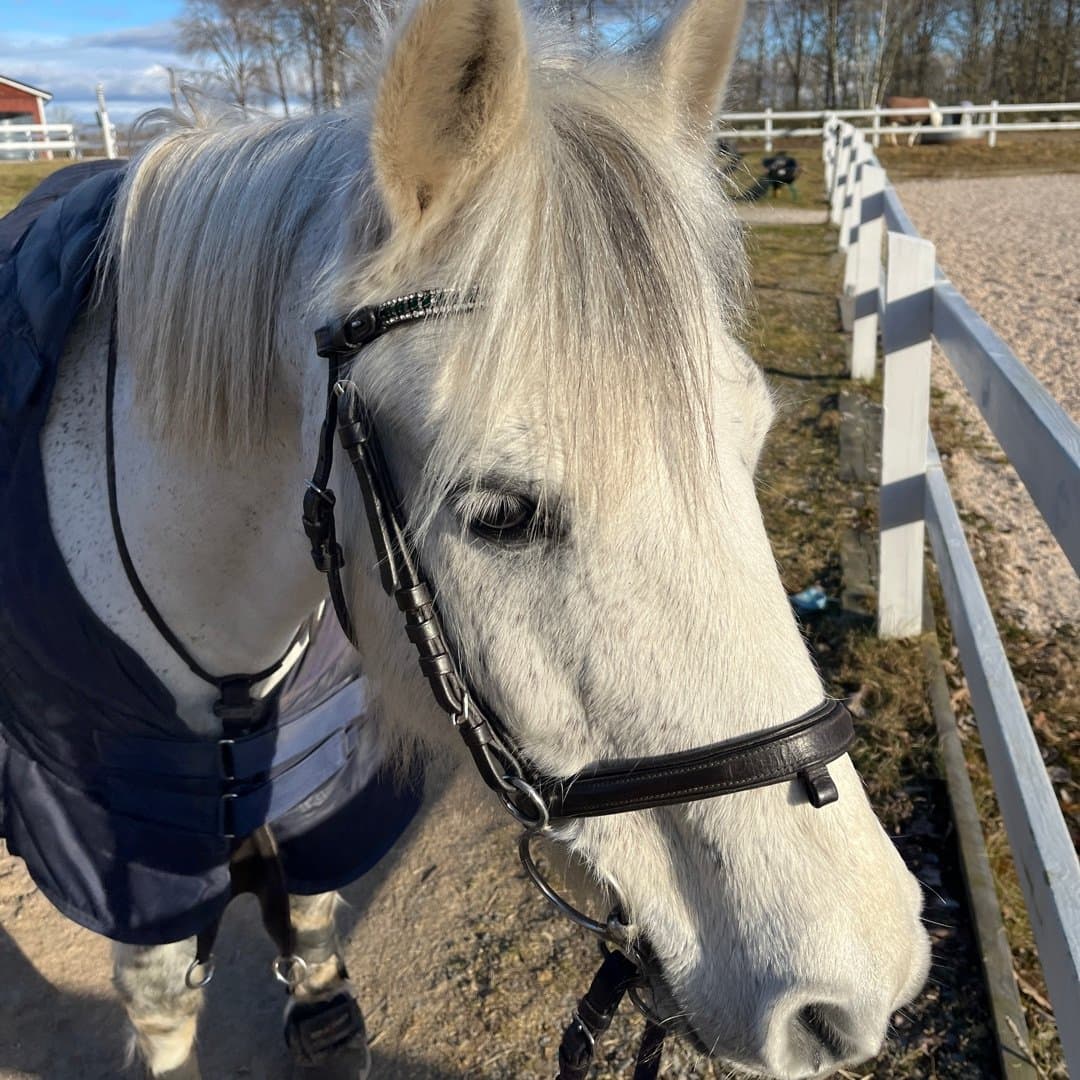 Bild 1 av Something Special