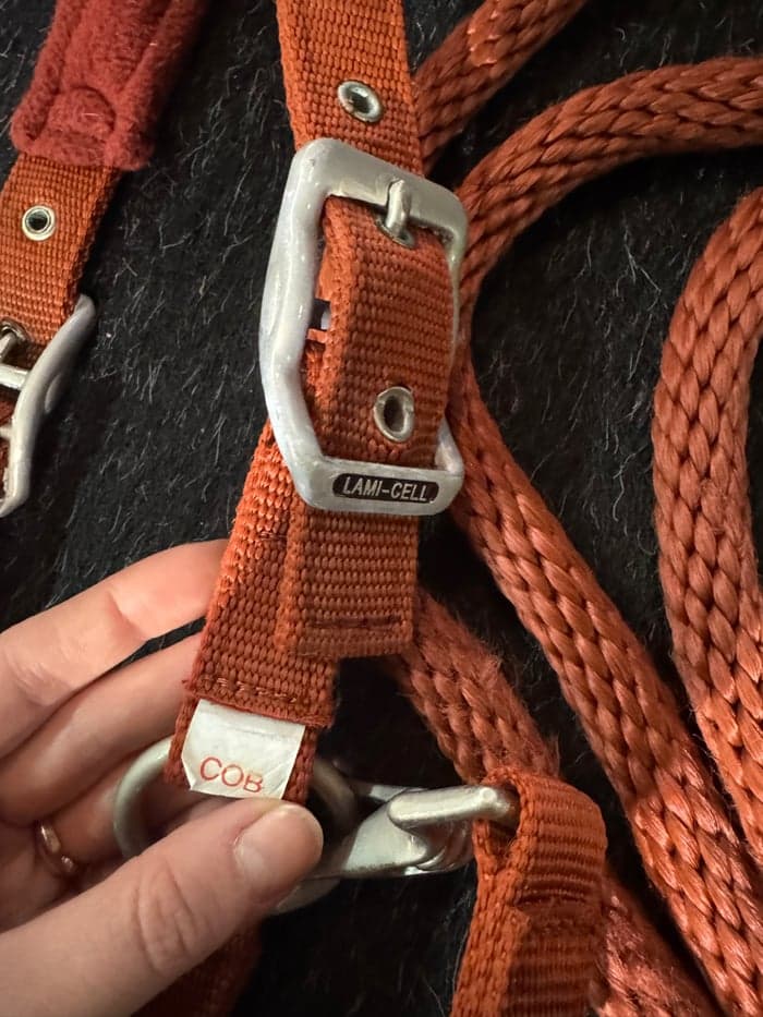 Media 3 av Röd grimma från Lamicell 