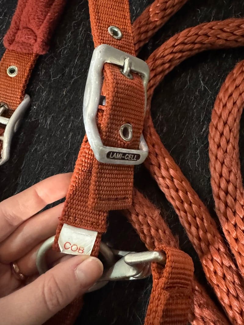 Bild 3 av Röd grimma från Lamicell 