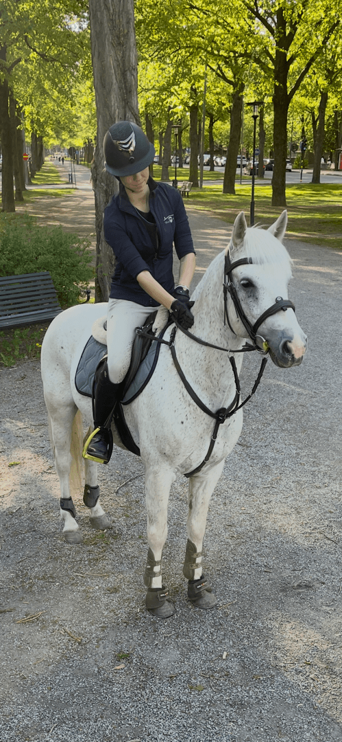 Bild av Rolig maxad c ponny 