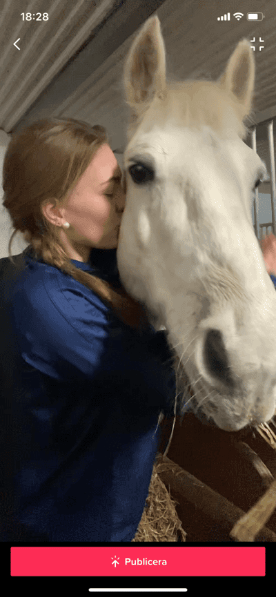 Inlägg 175 av Allround med titeln Godmorgon ❤️