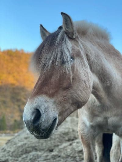 Inlägg 61 av Allround med titeln Vår i luften☀️🌸