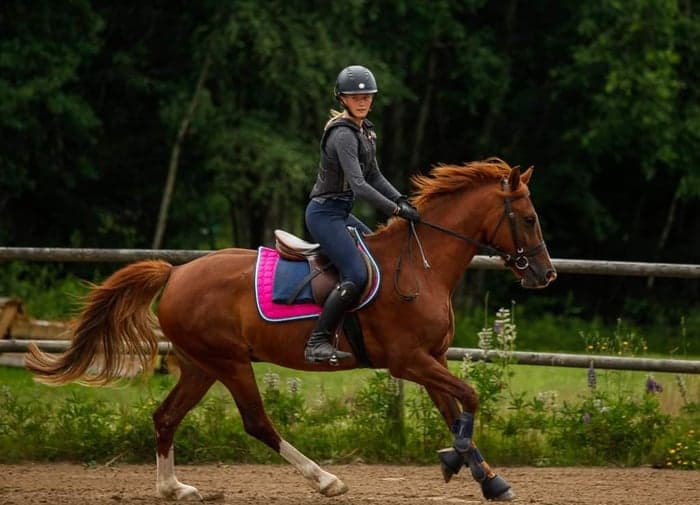 Media 1 av Wish Niccorina Heart