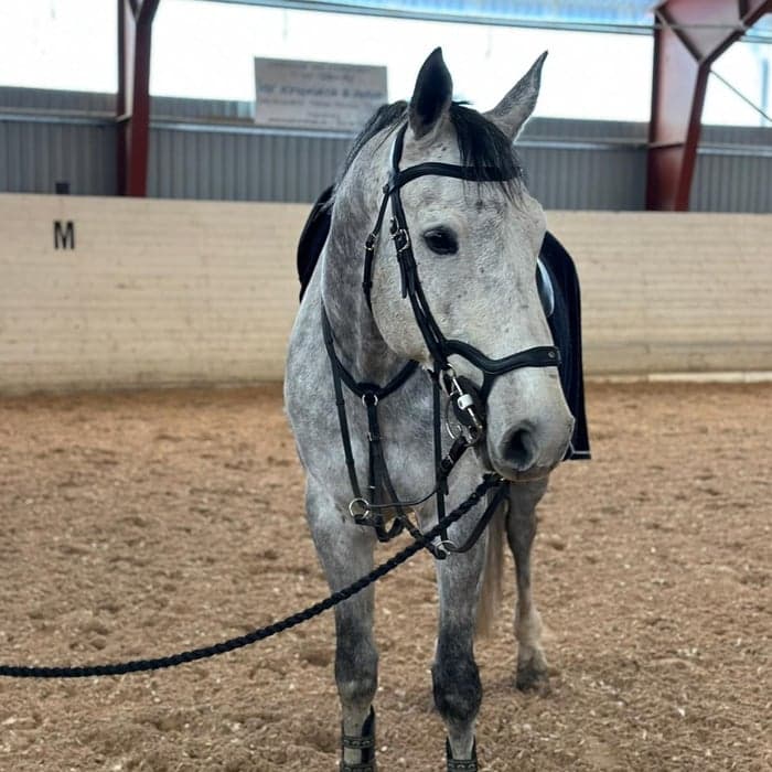 Media 1 av MM Malik F