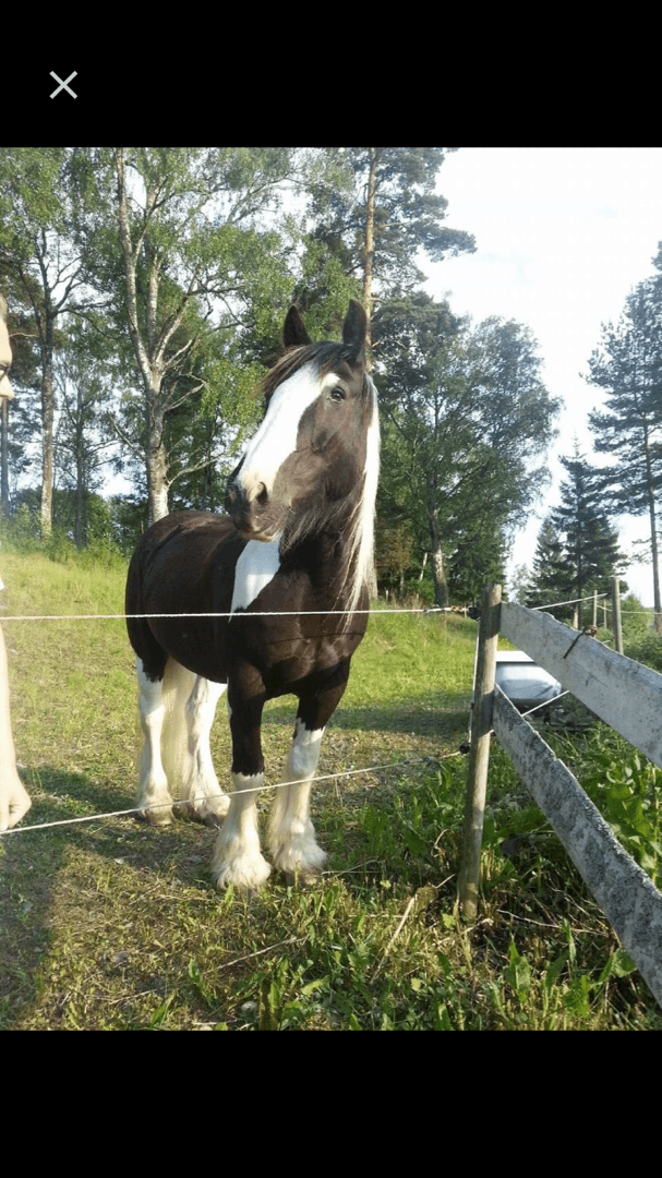 Bild 1 av placeholder text