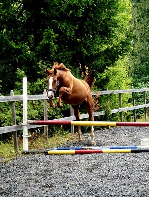 Image of Joinville e. Janeiro de Bieville f.2024 hopp/fälttävlan