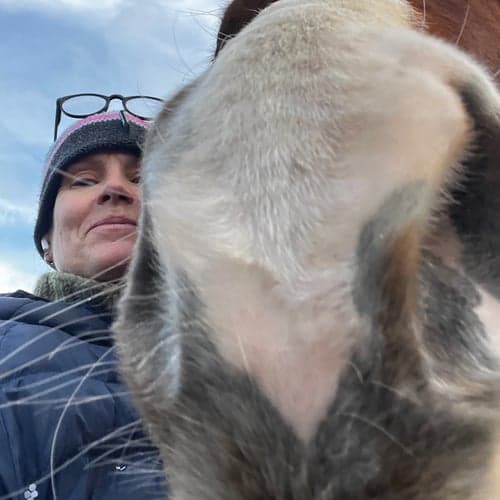 Profilbild av Sofia Hilton