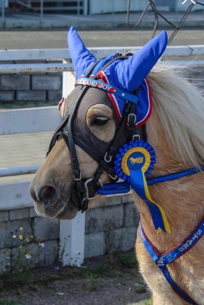 Media 1 av Lexie's Pride & Joy