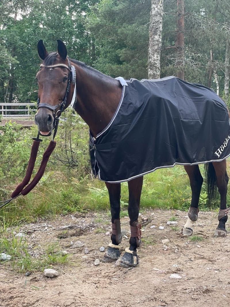 Bild 3 av Felocia