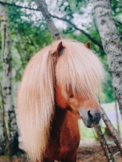 Inlägg 25 av Allround