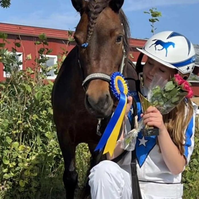Media 1 av Gullsmyras Bästa