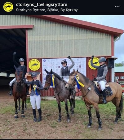 Inlägg 7 av Korsningsponny