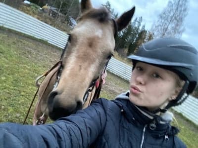 Inlägg 17 av Quarterhäst med titeln Skänkelträning idag 