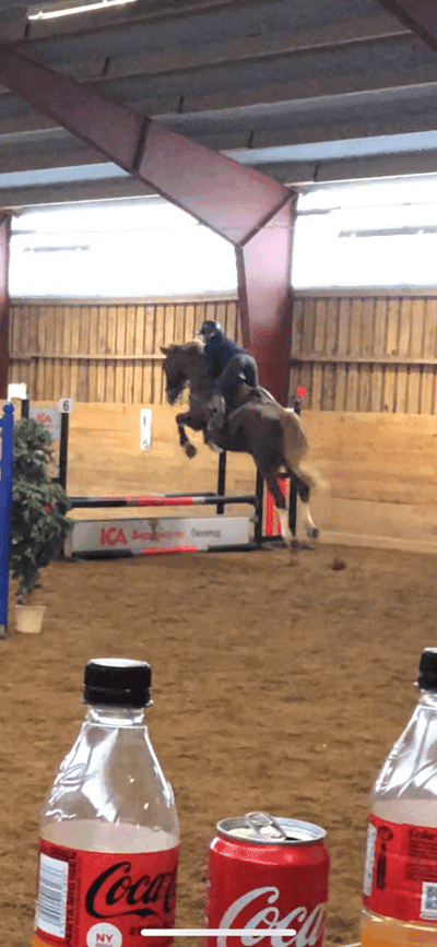 Inlägg 46 av Allround