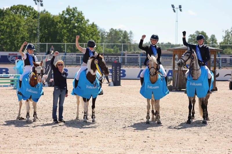 Bild 3 av Newbawn Apache