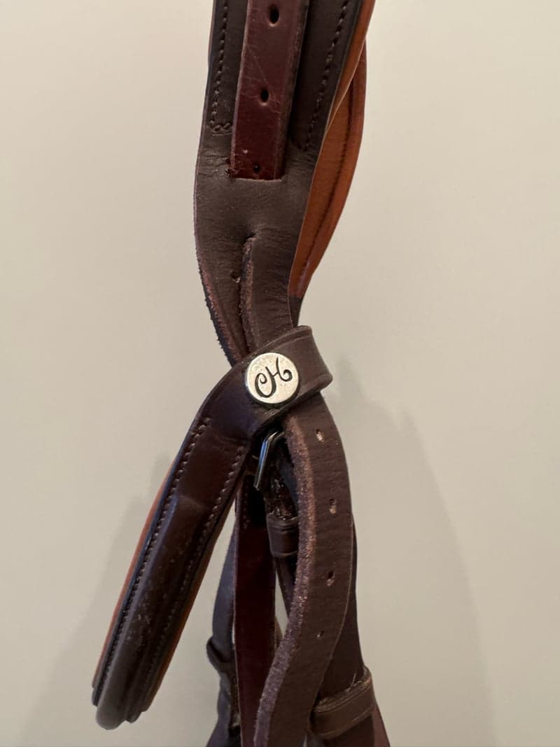 Bild 3 av Brunt träns 