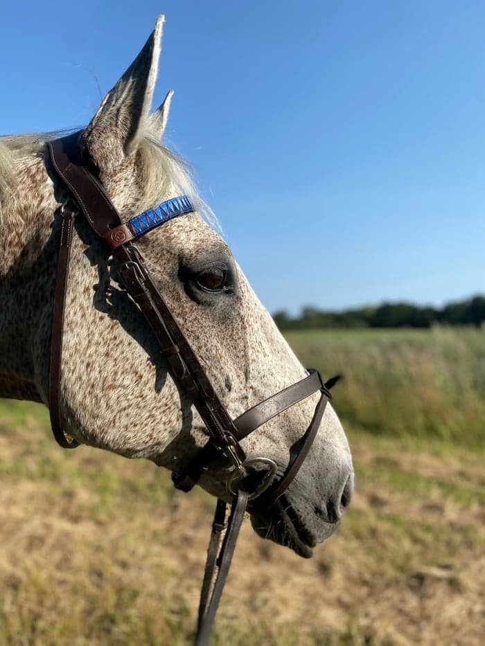 Media 1 av From The Root To The Fruit