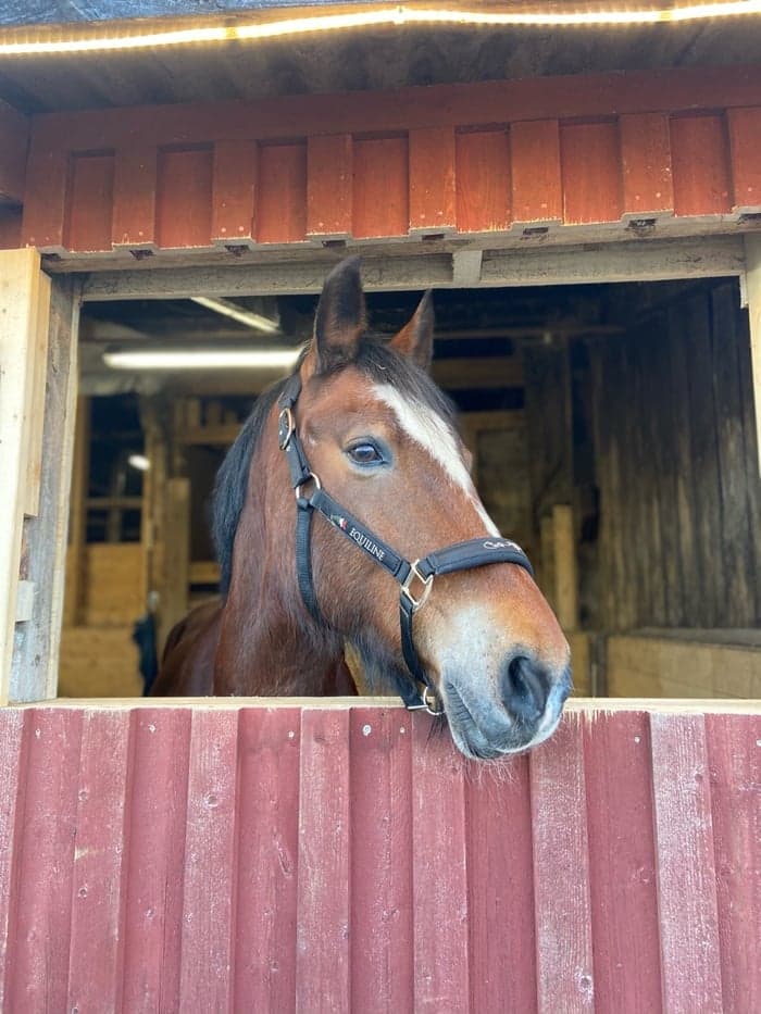 Media 1 of Fred The Thread