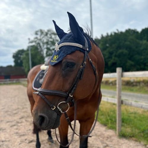 Profile picture of othilia liljegren