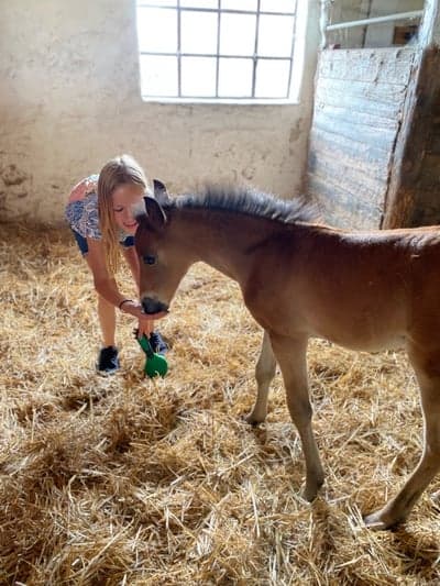 Inlägg 150 av Allround med titeln Gulligaste Señiorita, snart redan ett år! (Gammal bild)