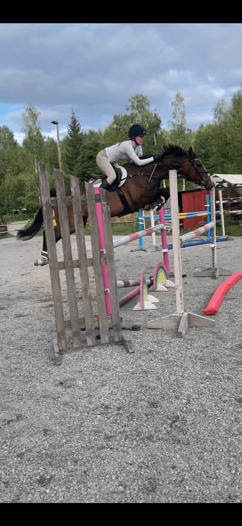 Bild av Fartfyllt sto