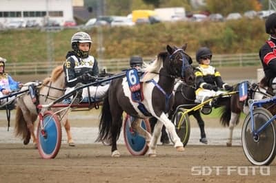 Inlägg 7 av Allround med titeln Ponnytrav