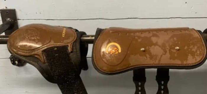 Media 1 av Kentucky D30