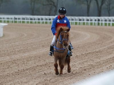 Ponnygalopp 