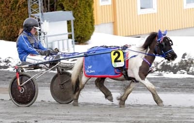 Inlägg 106 av Trav med titeln Ponnytrav