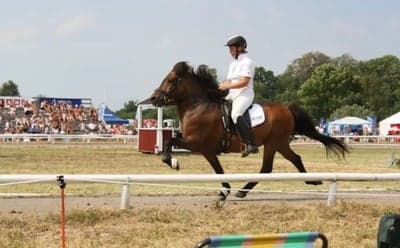 Inlägg 2 av Trickridning med titeln När jalle tävlade på SM