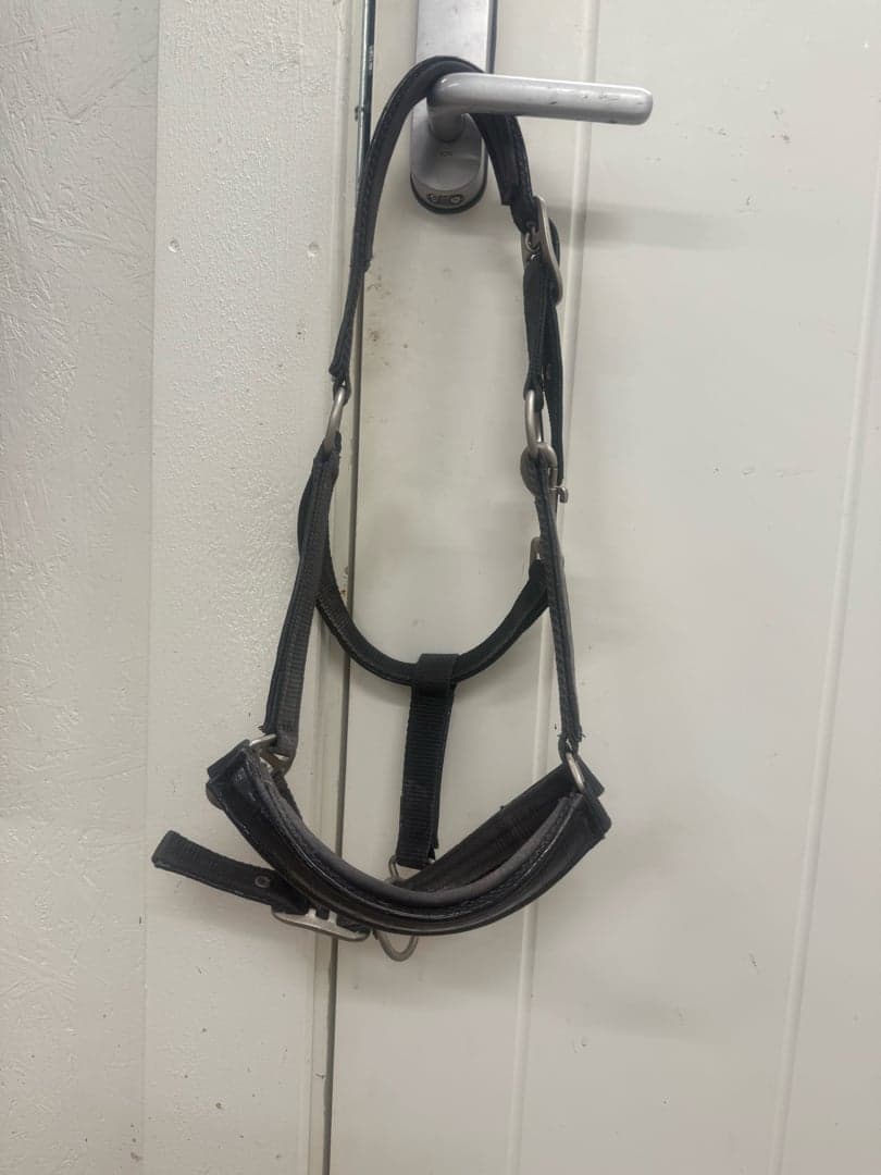 Image 1 of Svart fake läder grimma med lack/glans 