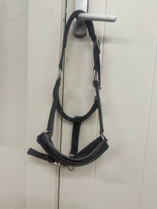 Image of Svart fake läder grimma med lack/glans 