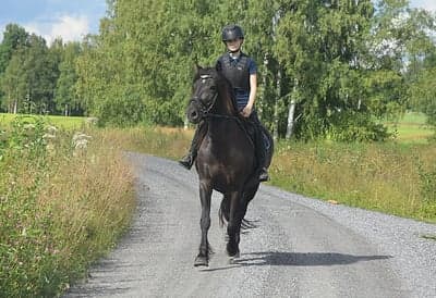 Inlägg 6 av Allround med titeln Pirri