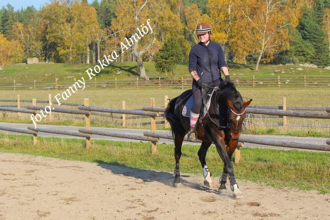 Bild 1 av Maxine fleur