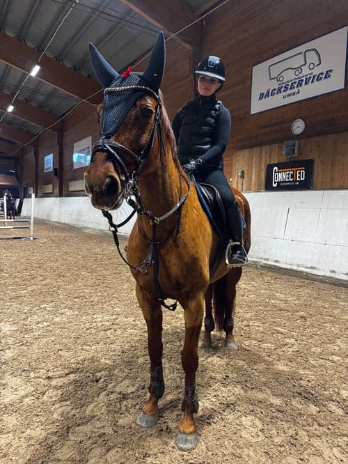 Bild av Snyggt sto som sticker ut i mängden🌟🦁