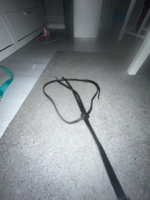 Bild av Svart martingal