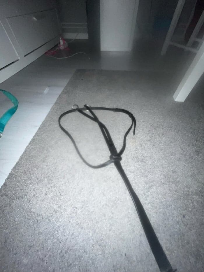 Media 1 av Svart martingal